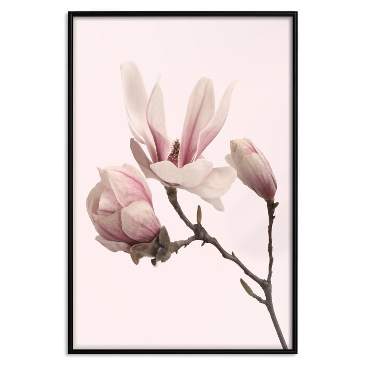 Poster Blooming Flowers [Poster]