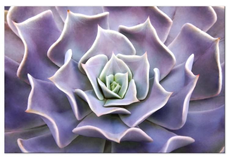 Canvas Print Purple Bloom (1-part) - Cactus Flower in Subtle Hue