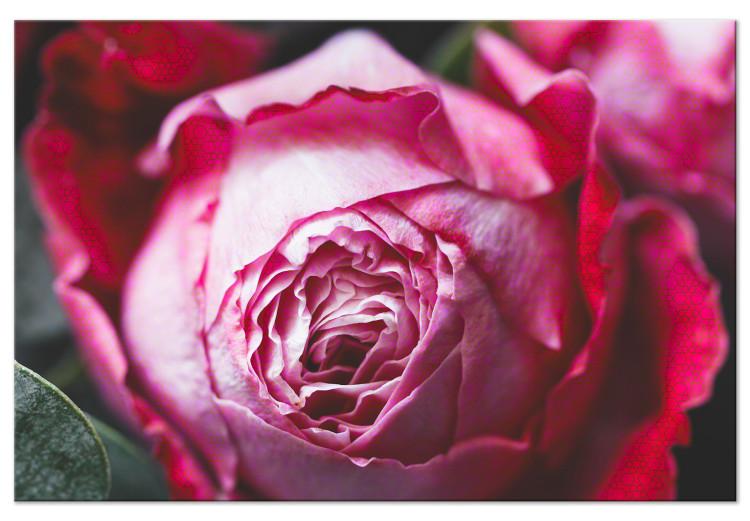 Canvas Print Rose - close-up of a classic pink flower on a geometric background