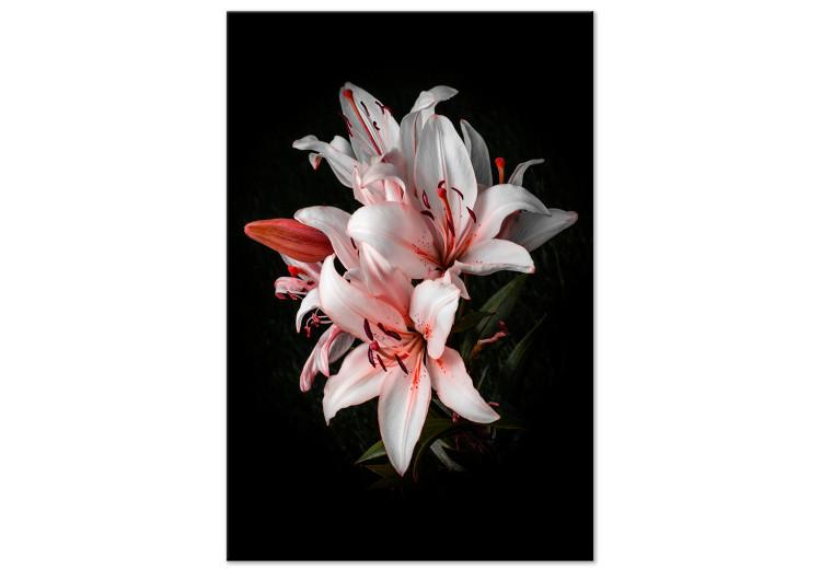 Canvas Print White Lilies (1-part) - Flower Beauty in Nature's Dim Light