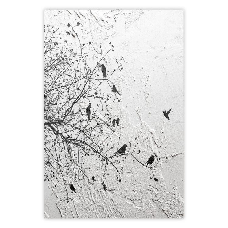 Poster Birds on a Tree - black and white landscape among branches on a rough background
