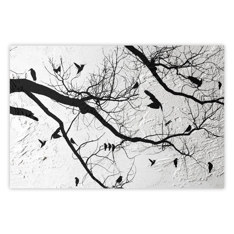 Poster Bird Encounter - black and white landscape of tree and birds on branches