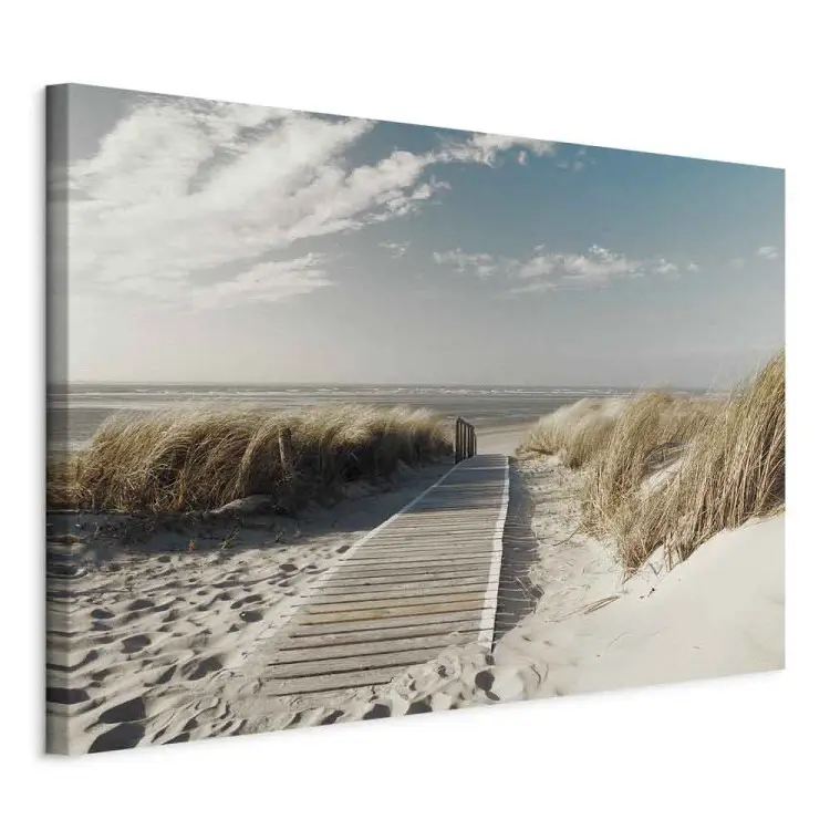 Path to the Beach - Summer Sky Over Sandy Shore
