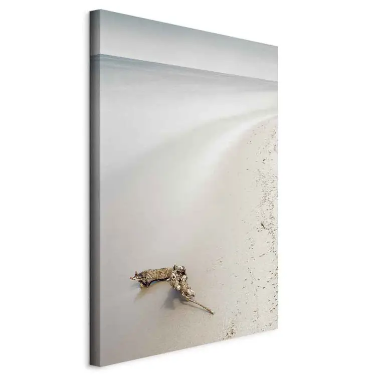 Scandinavian coast - calm sea and fine sand on the beach