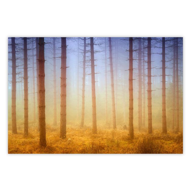 Poster Misty Forest - landscape of bare trees in brown-orange hues