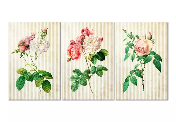 Floral Trio (Collection)