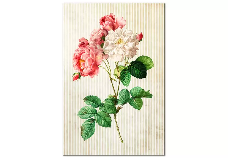 Colorful Roses in Retro Style (1-part) - Floral Nature Inspiration