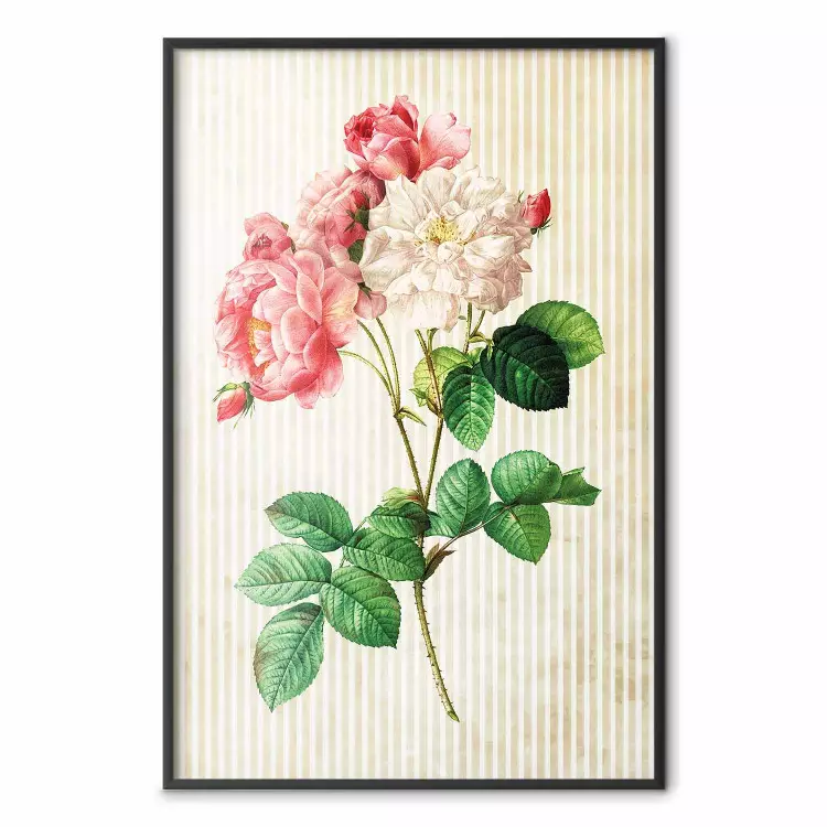 Celestial Rose - colorful composition with flowers on a background of beige stripes
