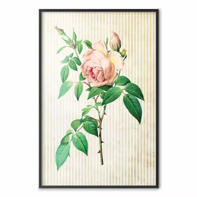 Victorian Rose - colorful floral composition against a background of beige stripes