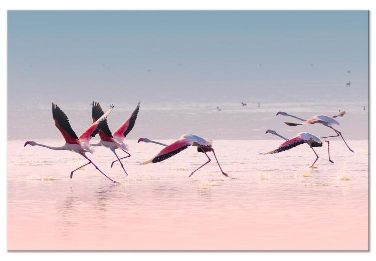 Canvas Print Birds Getting Ready to Fly (1-part) - Flamingos Against Water