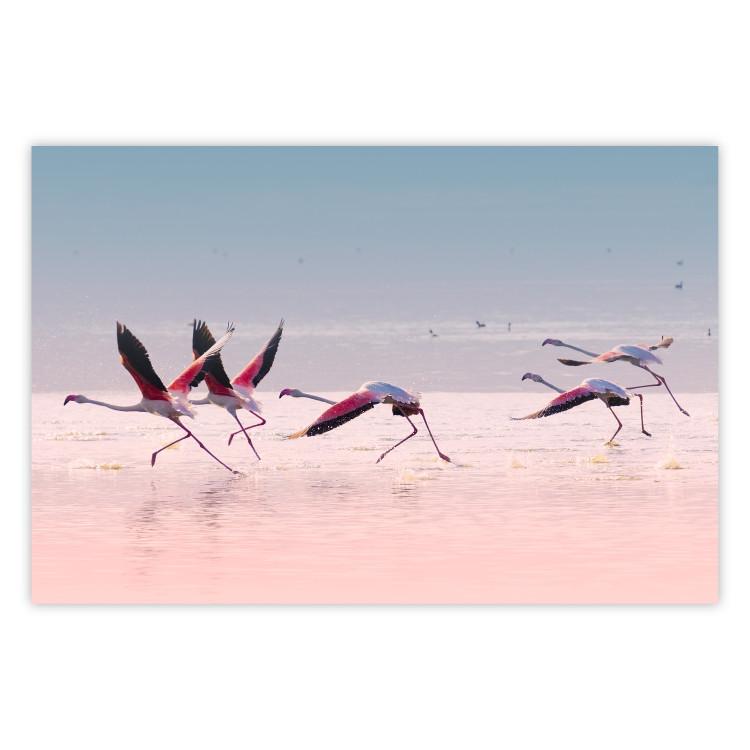Poster Flamingo Race - summer landscape of pastel water with pink birds