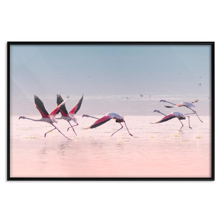 Poster Flamingo Race - summer landscape of pastel water with pink birds
