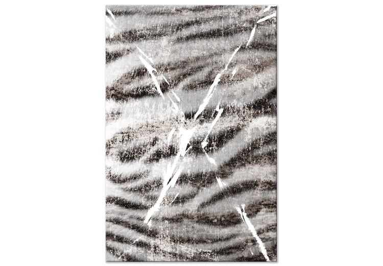 Canvas Print Tiger hair - animal texture detail in gray and white shades