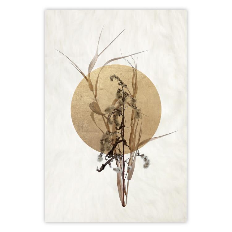 Poster Field Bouquet - beige Japanese-style composition with a circle and plant