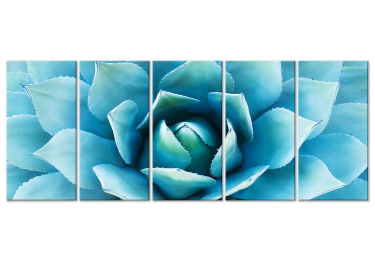 Canvas Print Abstract agave - succulent in shades of blue
