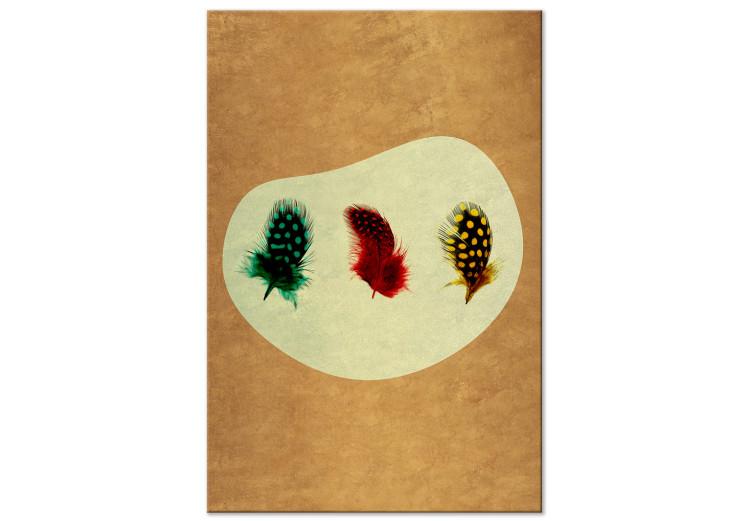 Canvas Print Three colorful feathers - an element of nature in vintage style