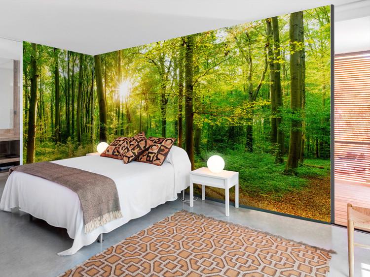 Wall Mural Forest rays - nature landscape with forest path in sunshine