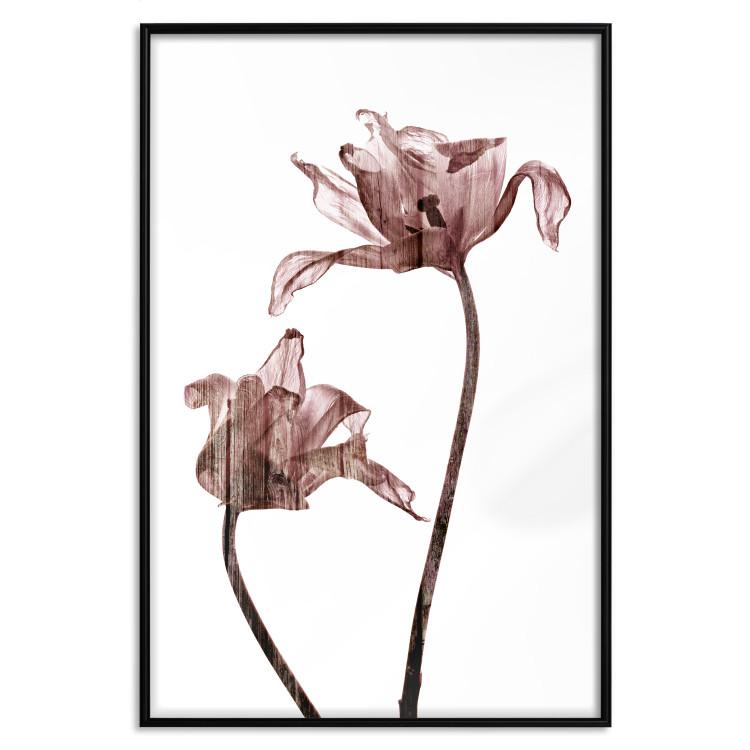 Poster Translucent Closeness - botanical composition with powdery pink flowers