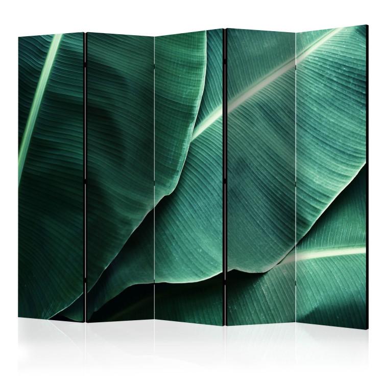 Room Divider Banana Leaves II - texture of green leaves with distinct details