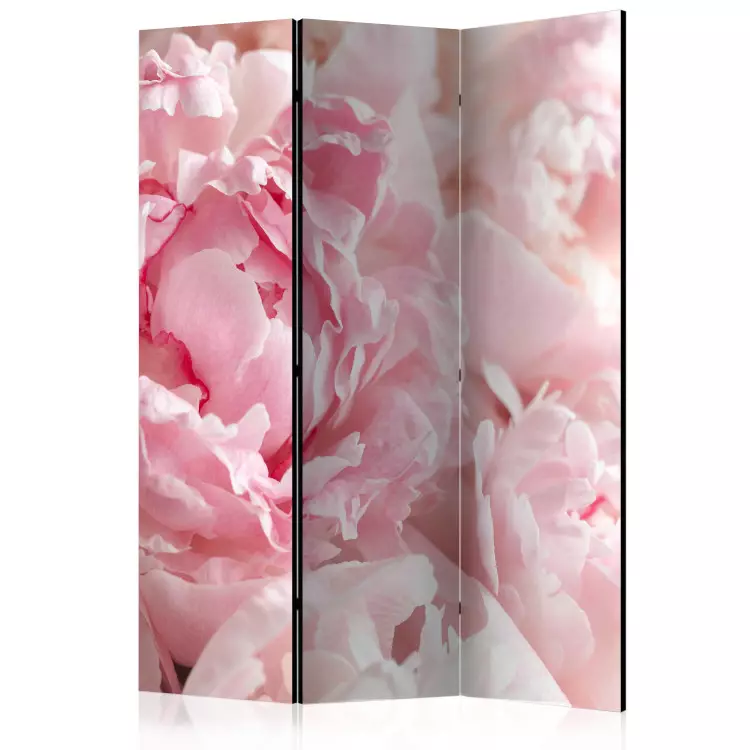Room Divider Sweet Peonies - pink flower petals against a bright light glow background