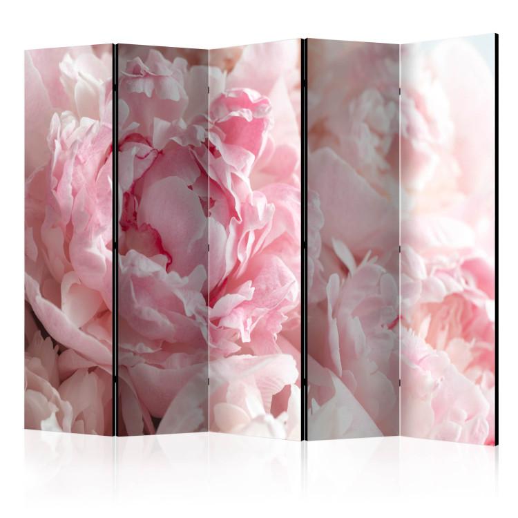 Room Divider Sweet Peonies II - pink flower petals against a background of sunlight rays