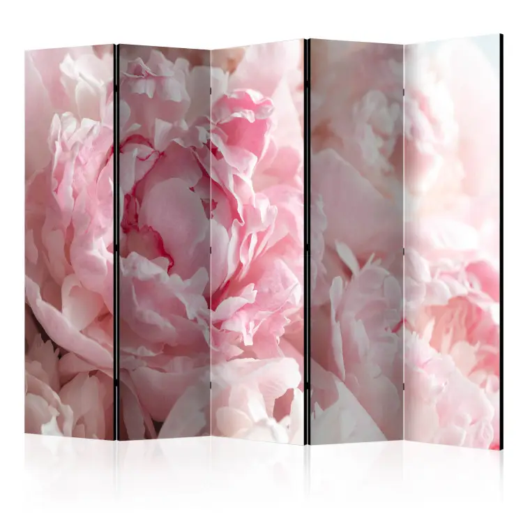 Sweet Peonies II - pink flower petals against a background of sunlight rays