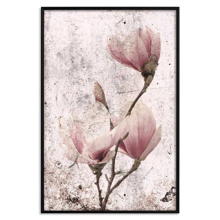 Poster Mature Magnolia - vintage composition with flowers on a pastel background