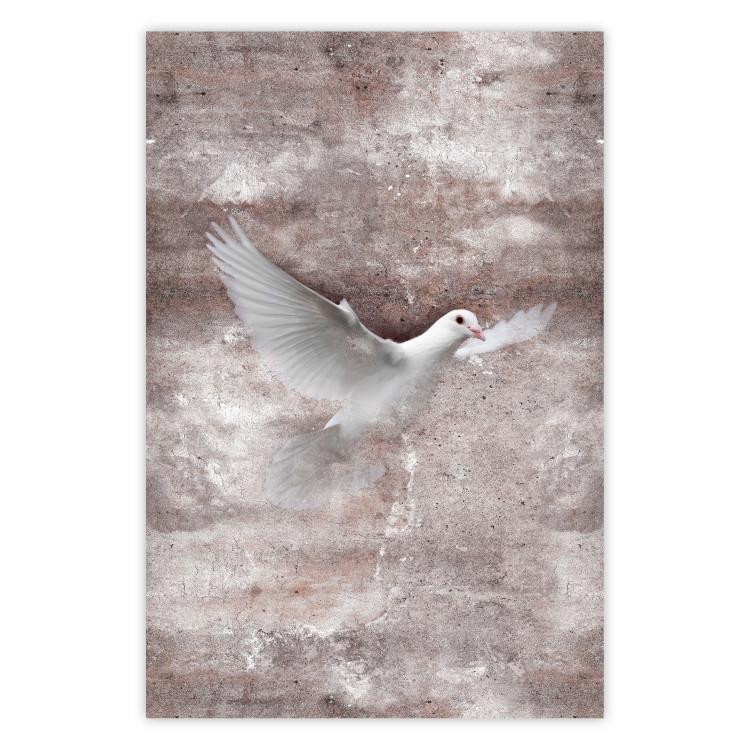 Poster Love Flight - composition with a white bird and a background in shades of brown