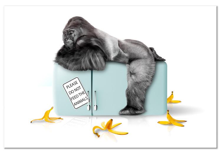 Canvas Print Confiscated refrigerator - funny photo with gorilla and inscriptions