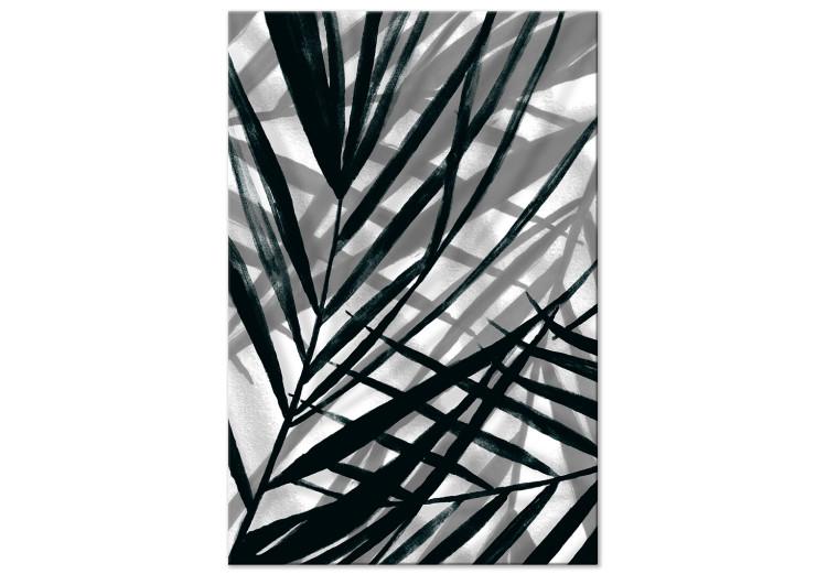 Canvas Print Leafy shadows - gray plant elements with black shadows