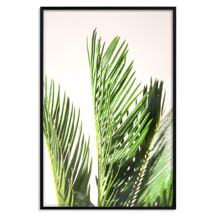 Poster Plant Detail - botanical composition with green leaves on a light background