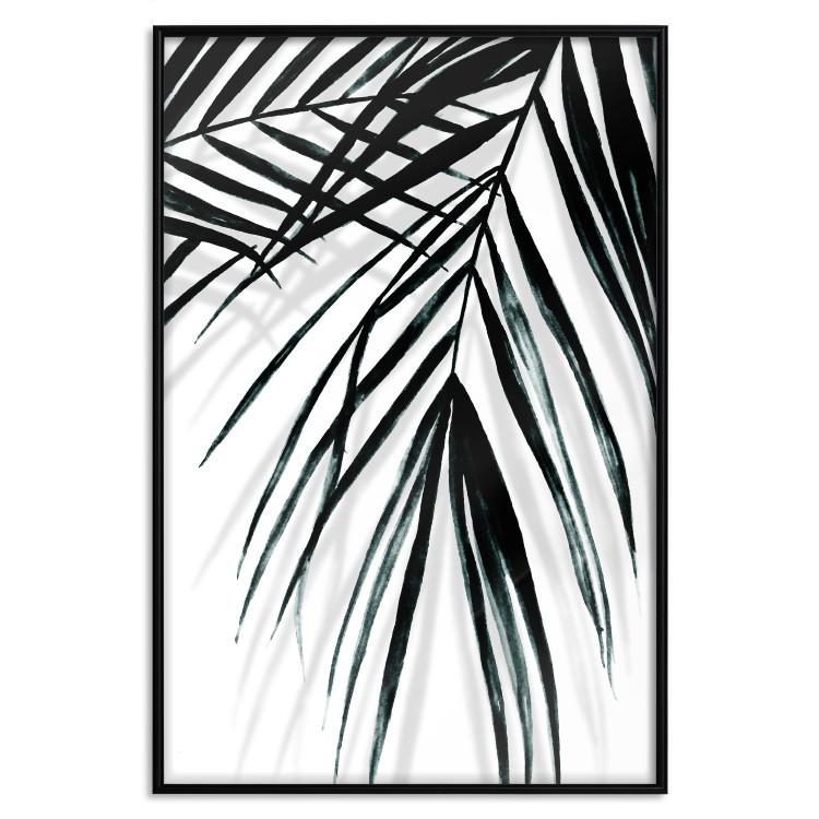 Poster Palm Relax [Poster]