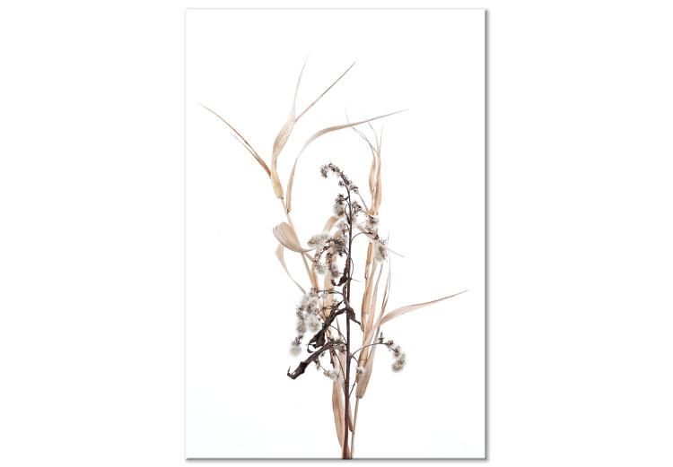 Canvas Print Memories of autumn - a minimalistic plant motif in the scandi style