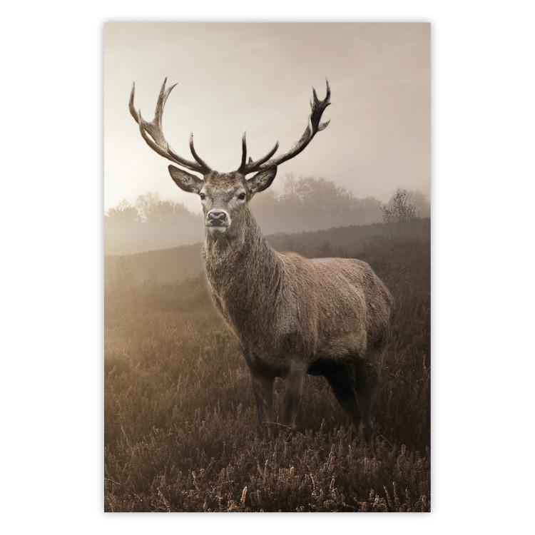 Poster Sepia Deer - autumn landscape with an animal amid field grass
