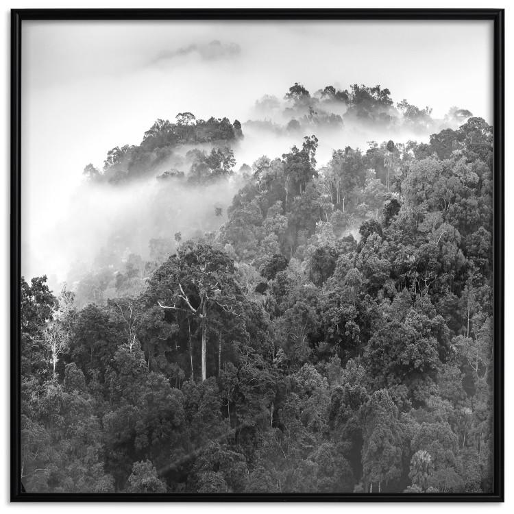 Poster Rainy Forest - black and white landscape with a view of trees and fog