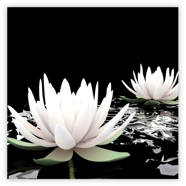 Poster Lotus Flowers - summer composition with white petals and leaves in a zen style
