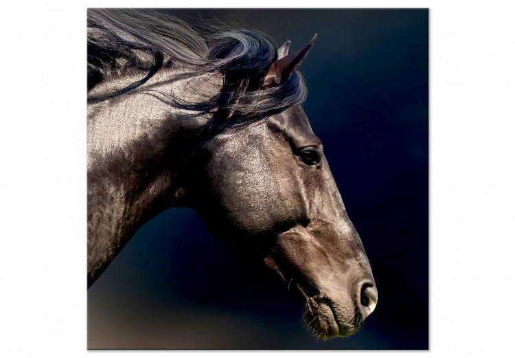 Canvas Print Unfolded Mane - Artistic photo with horse detail