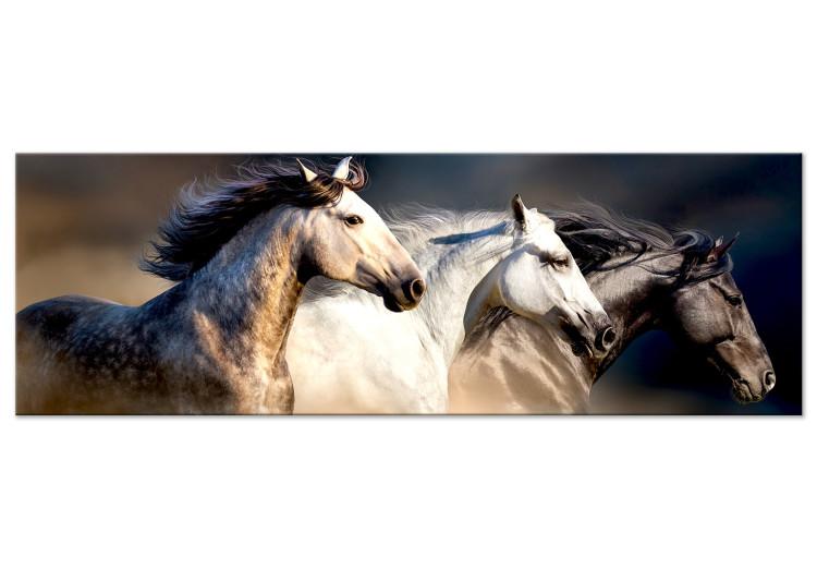 Canvas Print Sons of the Wind (1 Part) Narrow