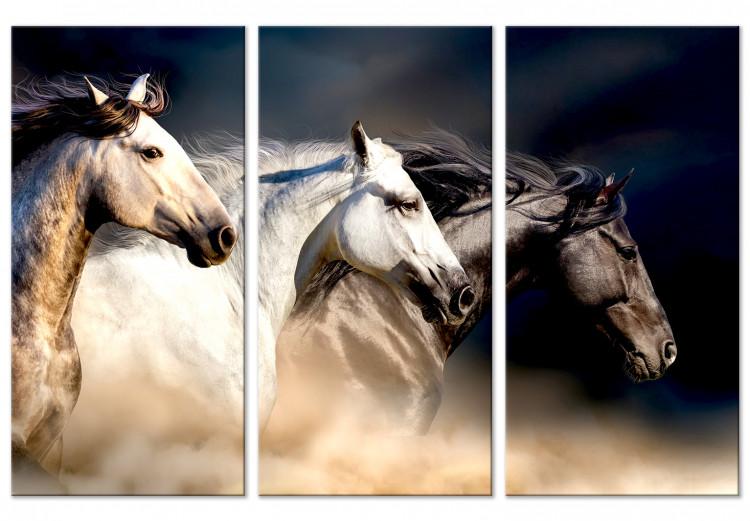 Canvas Print Sons of the Wind (3 Parts)
