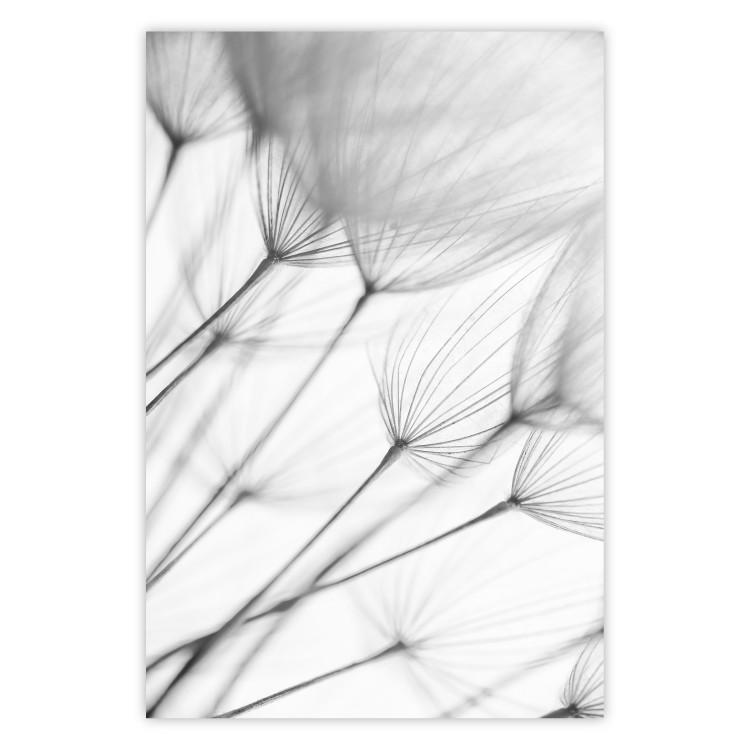 Poster Lightness of the Moment - black and white simple composition with delicate dandelions
