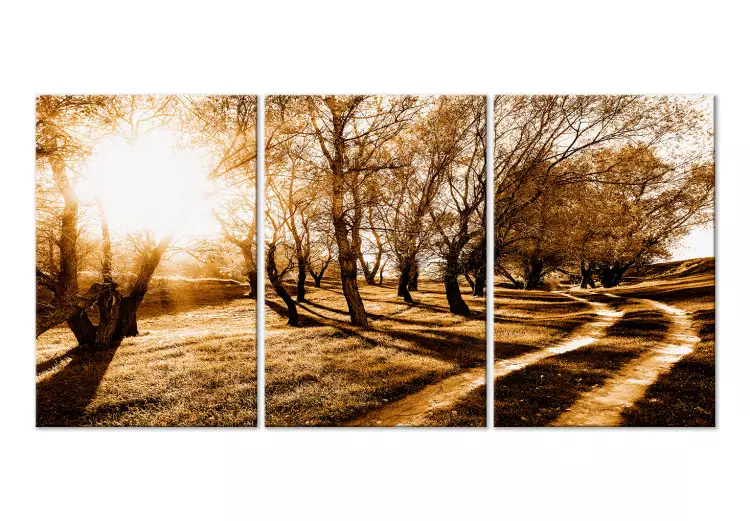 Canvas Print Autumn sun - an alley, trees and nature in a golden light