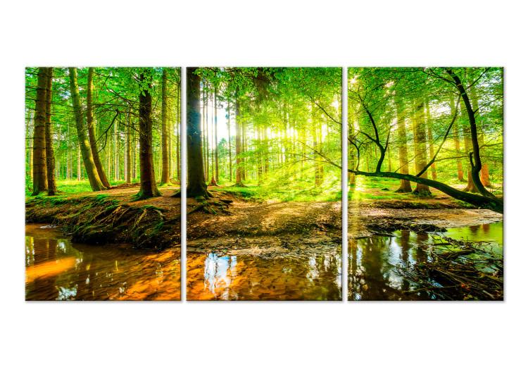 Canvas Print Forest Stream (3 Parts)