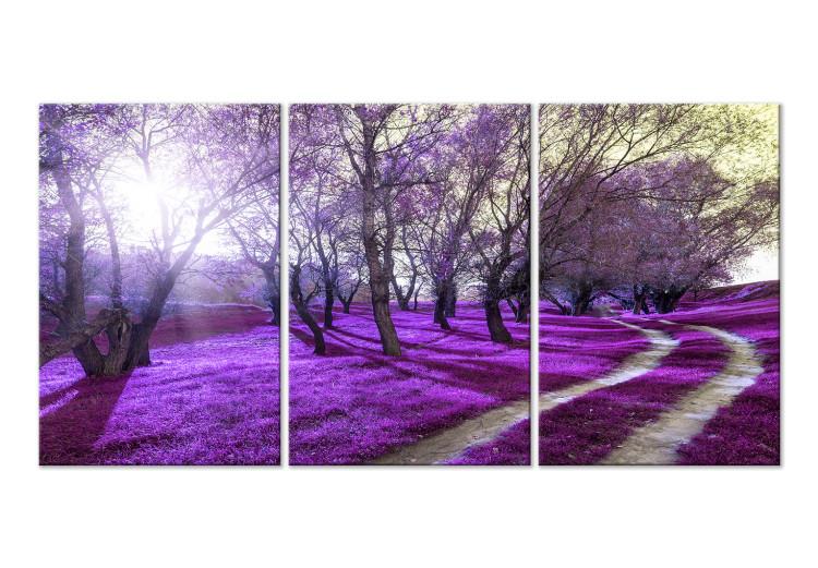 Canvas Print Purple alley - forest landscape with lavender plain and sunlight