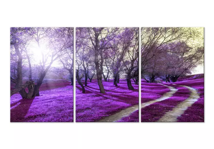 Canvas Print Purple alley - forest landscape with lavender plain and sunlight