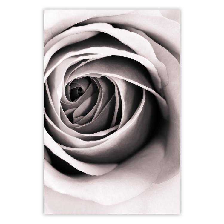 Poster Rose Whirl - pattern imitating the appearance of a rose in an infinite swirl
