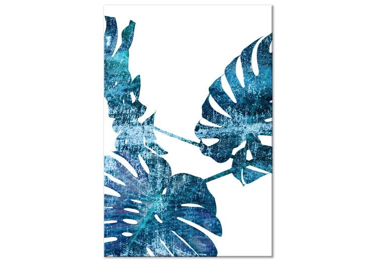 Canvas Print Topaz Reflections - Blue Monstera Leaves Isolated on White