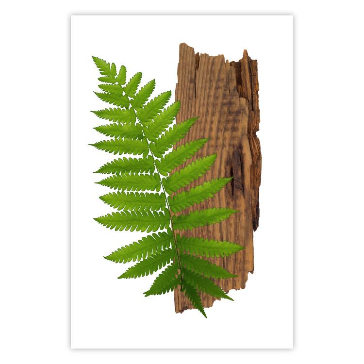 Poster Resoluteness of Nature - green plant and wooden piece on a white background