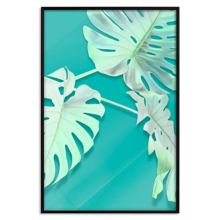 Poster Mint Monstera [Poster]