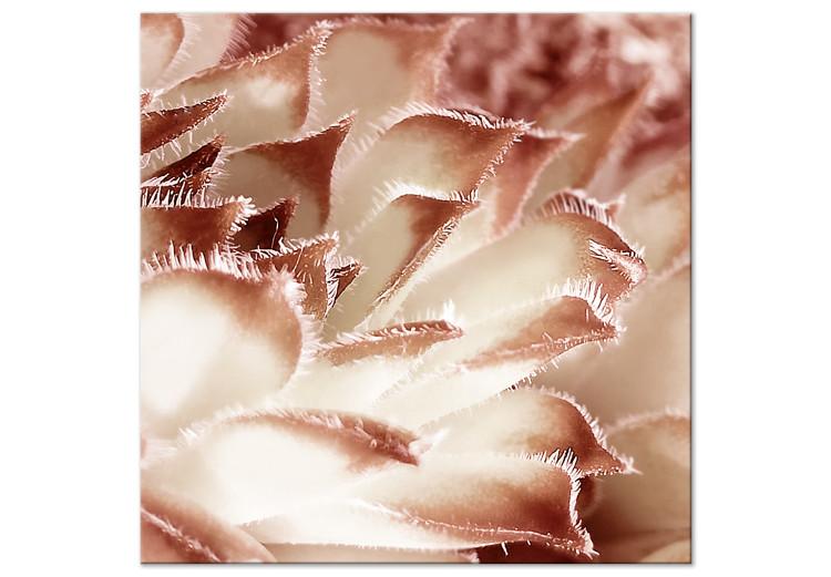 Canvas Print Flower tenderness - an artistic photo of a floral detail in pastels