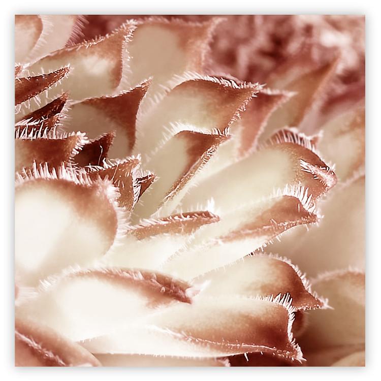 Poster Gentle Touch - floral motif of flowers with a light red texture